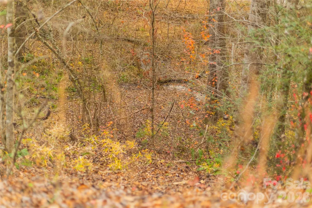 104 Robin Lane Bryson City, NC 28713