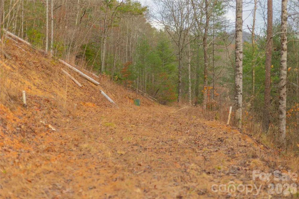 104 Robin Lane Bryson City, NC 28713