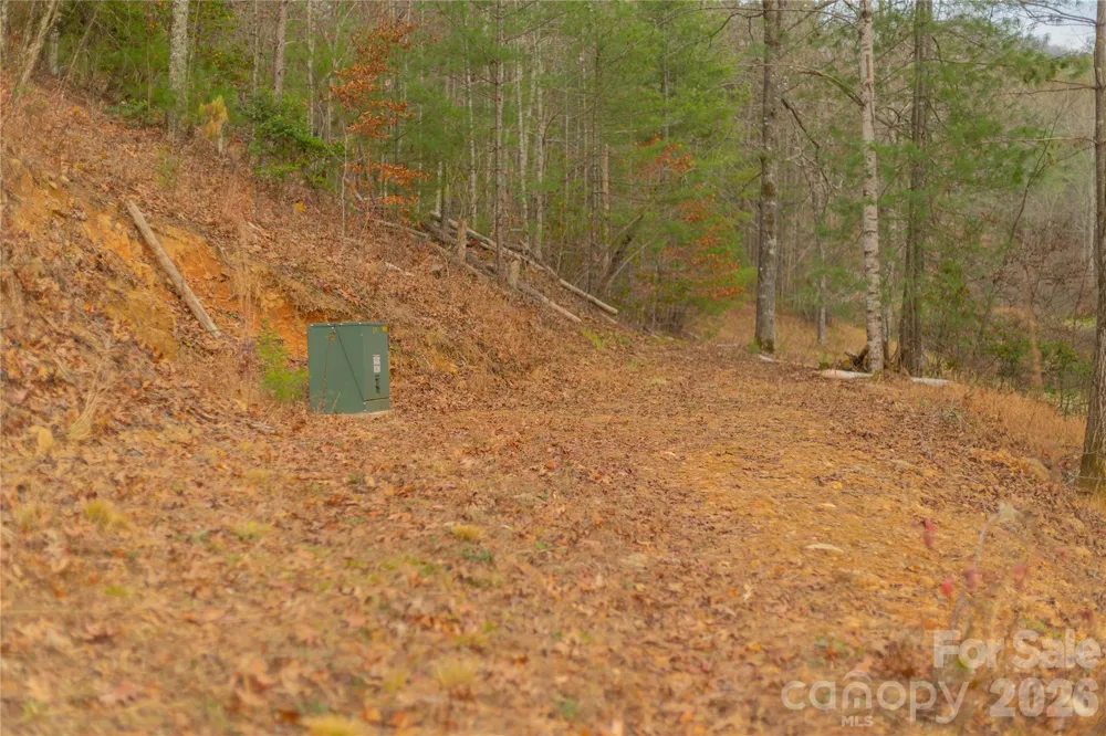 104 Robin Lane Bryson City, NC 28713