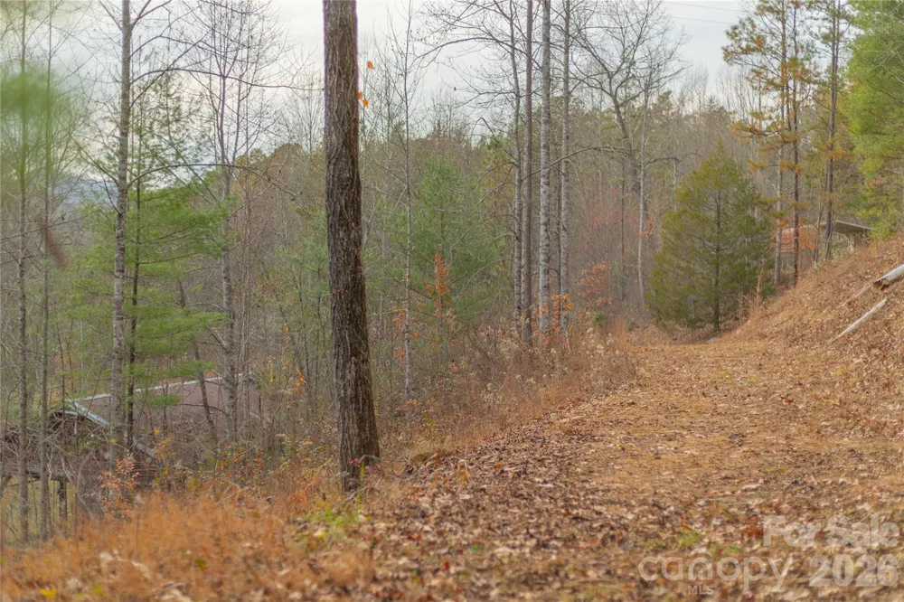 104 Robin Lane Bryson City, NC 28713