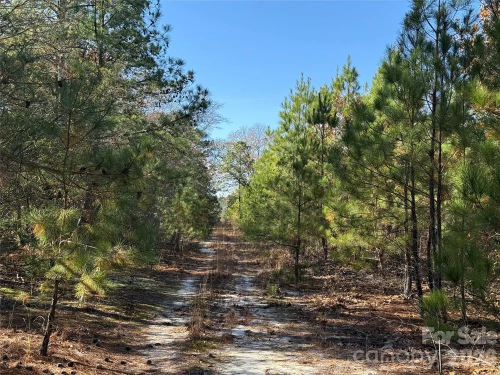164 Haines Road Jackson Springs, NC 27281