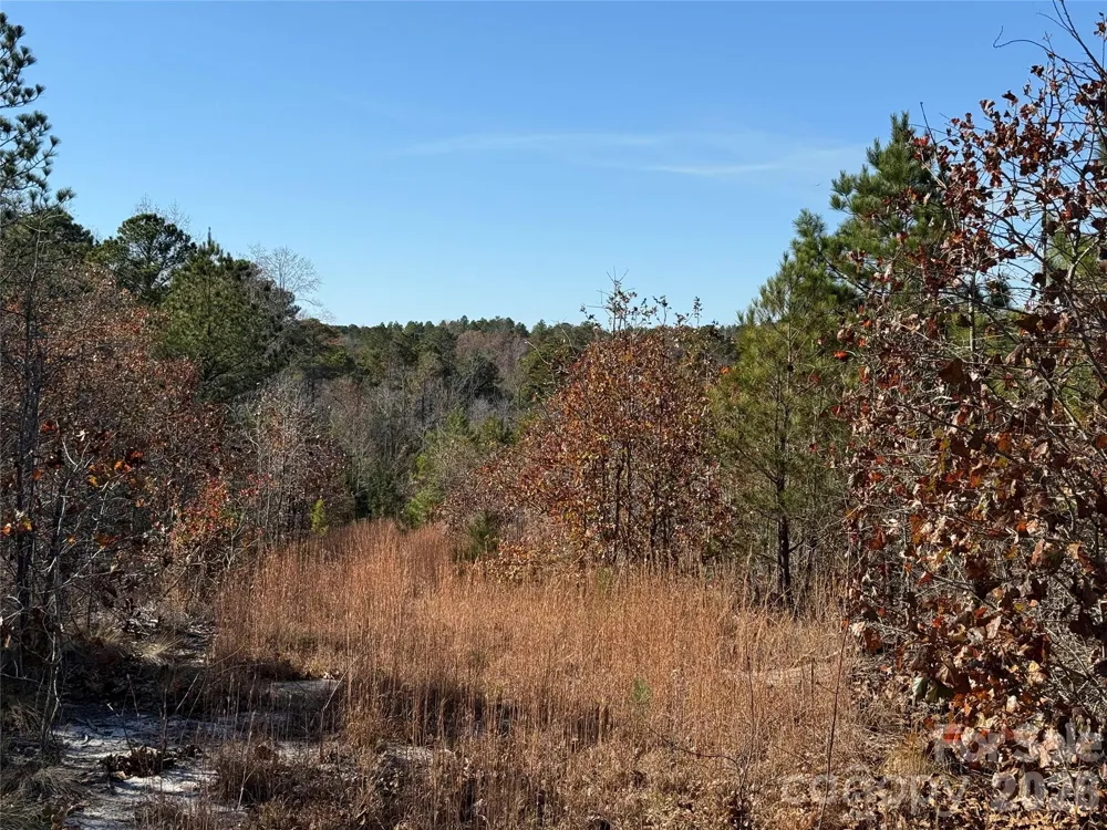 164 Haines Road Jackson Springs, NC 27281