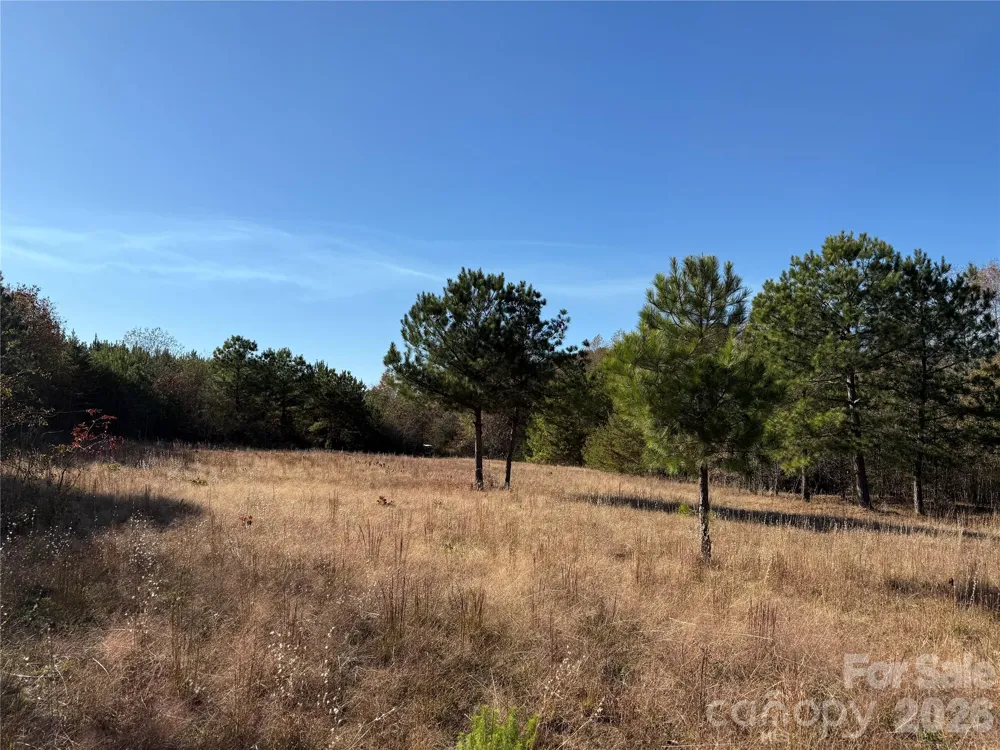 164 Haines Road Jackson Springs, NC 27281