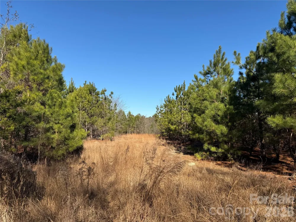 164 Haines Road Jackson Springs, NC 27281