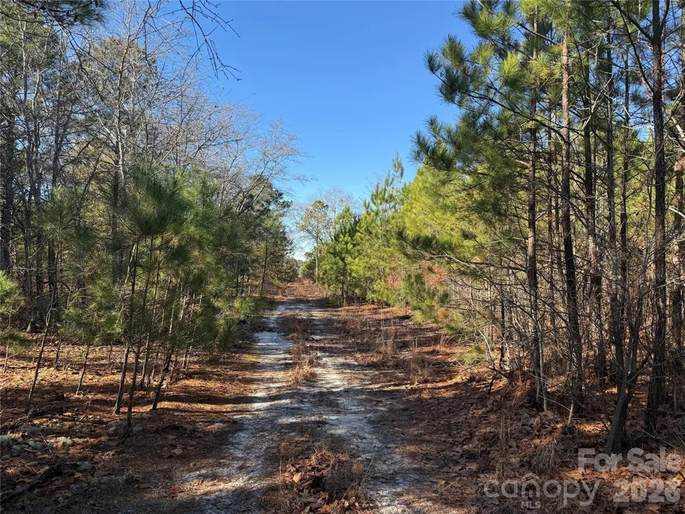 164 Haines Road Jackson Springs, NC 27281
