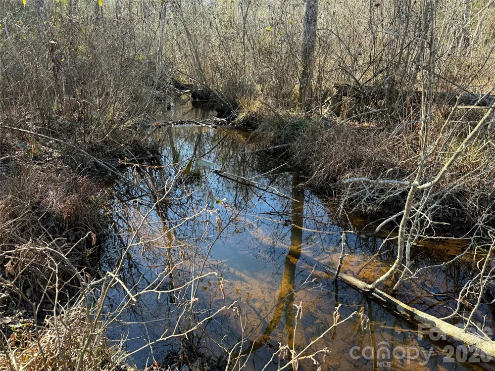 164 Haines Road Jackson Springs, NC 27281