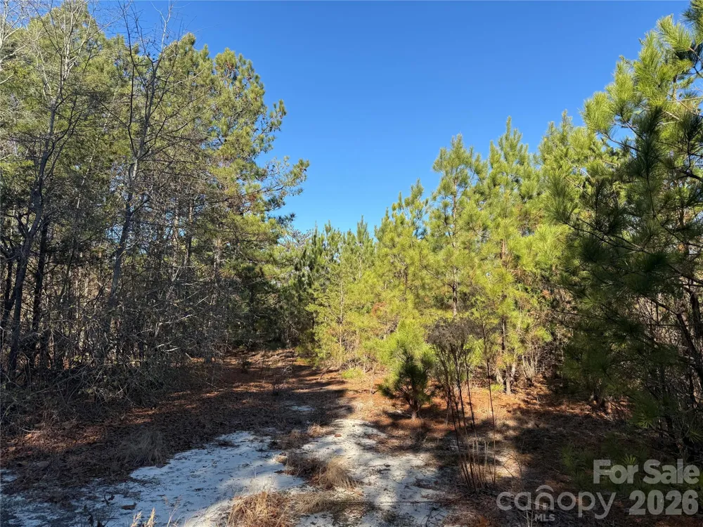 164 Haines Road Jackson Springs, NC 27281