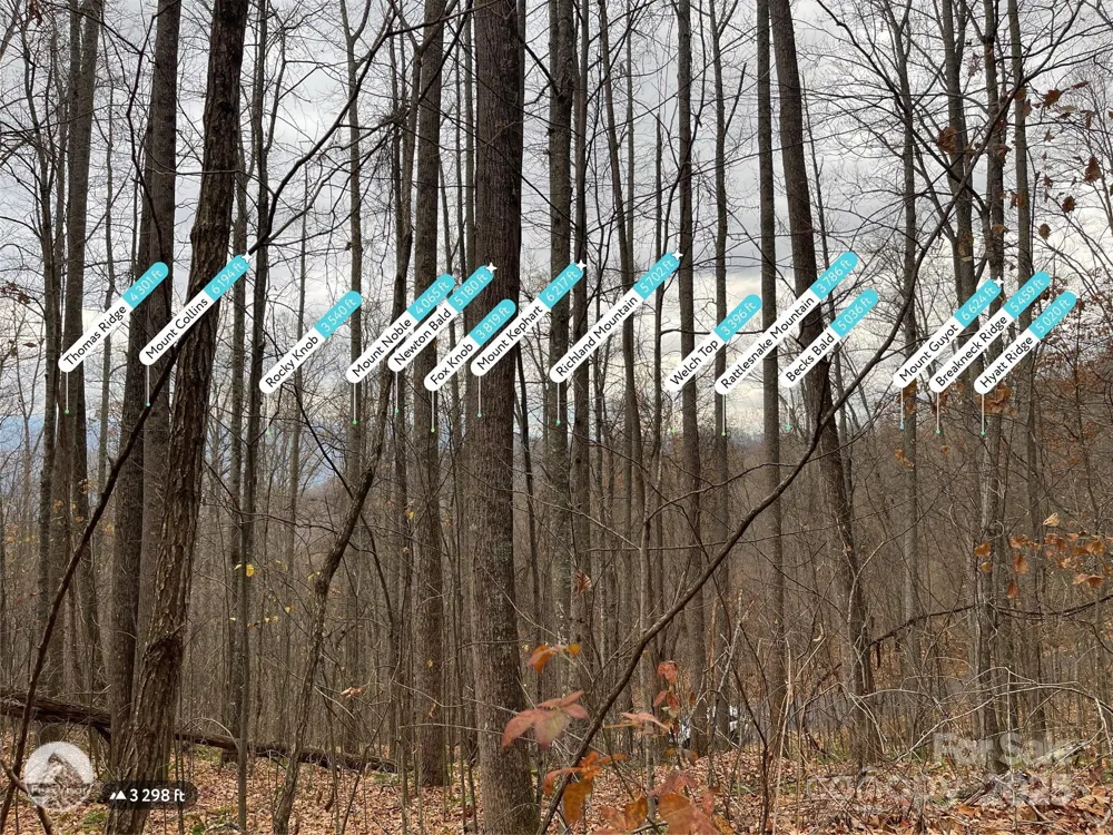 805 Sparkling Falls Road Whittier, NC 28789