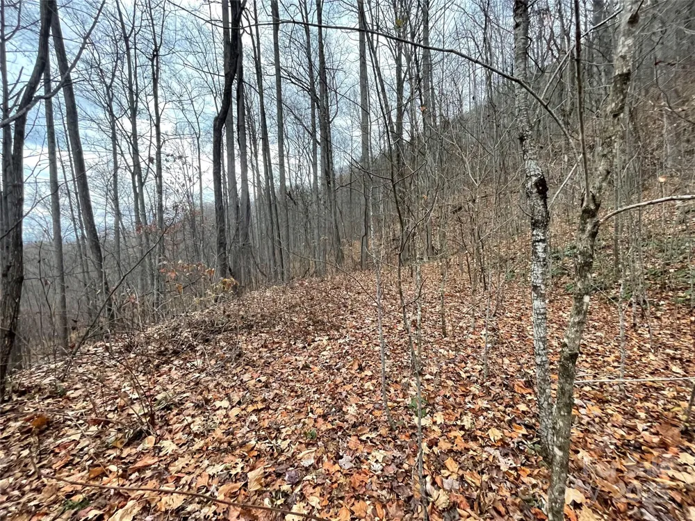 805 Sparkling Falls Road Whittier, NC 28789