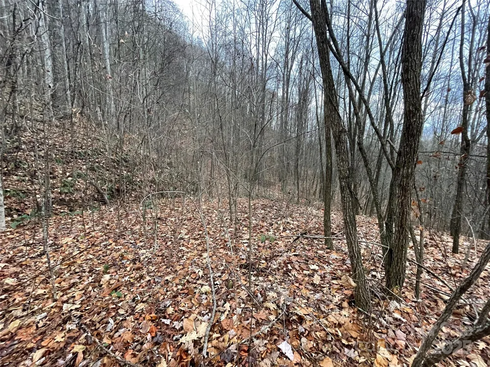 805 Sparkling Falls Road Whittier, NC 28789