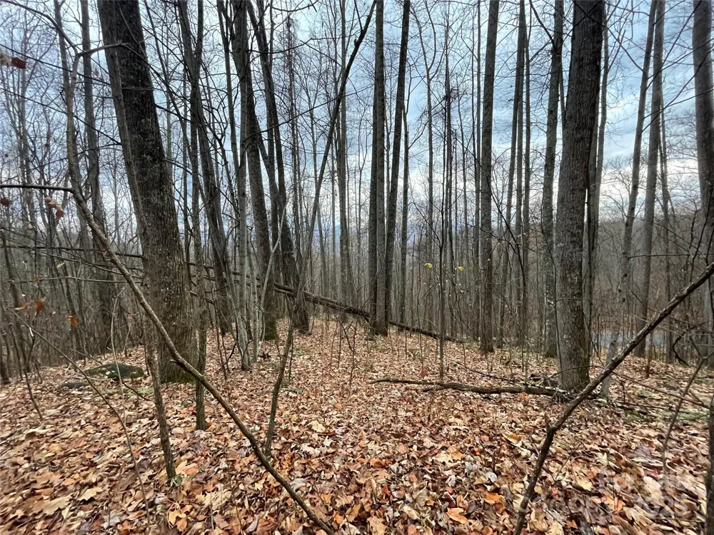 805 Sparkling Falls Road Whittier, NC 28789
