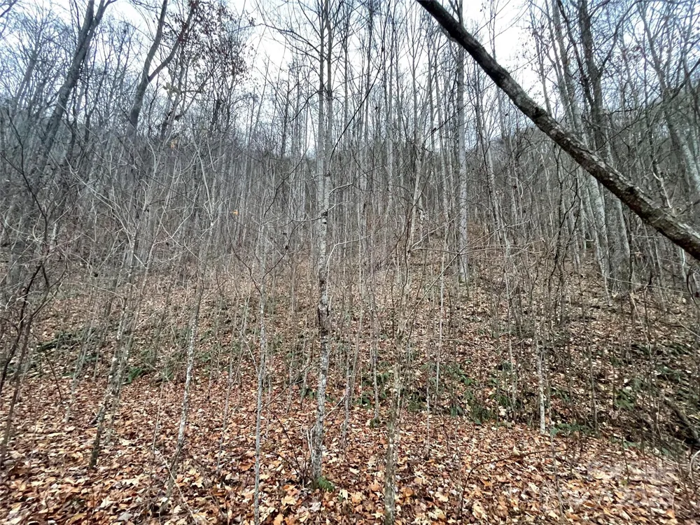 805 Sparkling Falls Road Whittier, NC 28789