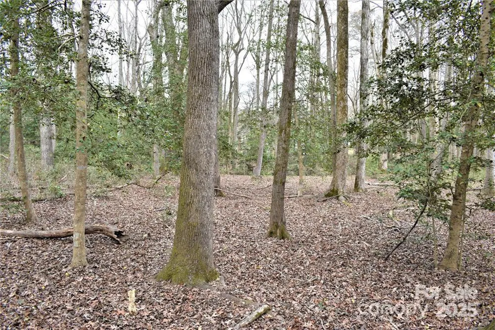 333 Pearl Bay Drive #20 Badin Lake, NC 28127