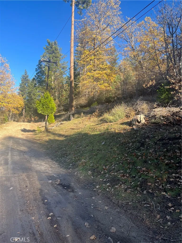 29834 Juniper Drive Cedar Glen, CA 92321