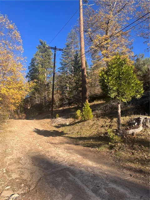 29834 Juniper Drive