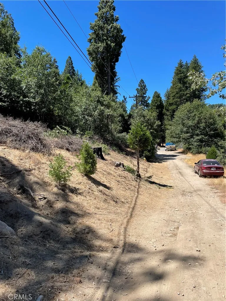 29834 Juniper Drive Cedar Glen, CA 92321