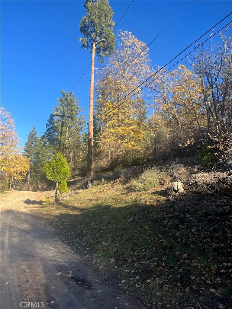 29834 Juniper Drive Cedar Glen, CA 92321