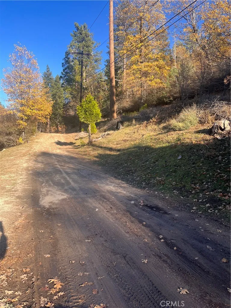 29834 Juniper Drive Cedar Glen, CA 92321