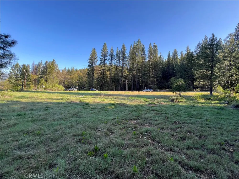 390 E Main Quincy, CA 95971