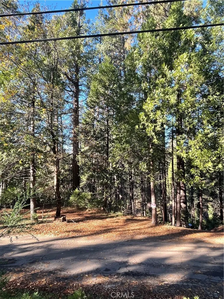 22447 Ponderosa Drive Twain Harte, CA 95383