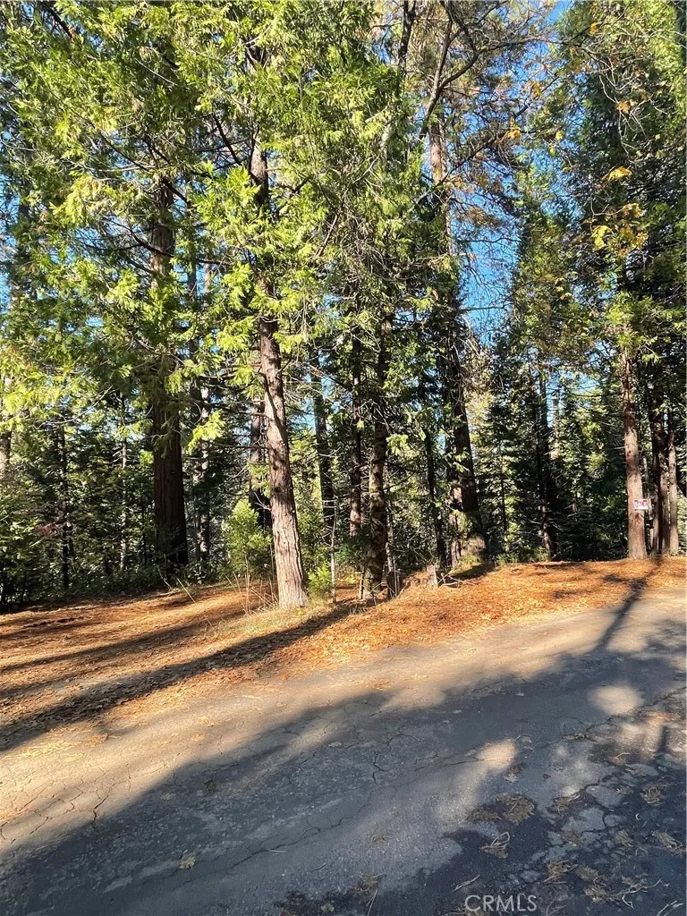 22447 Ponderosa Drive Twain Harte, CA 95383
