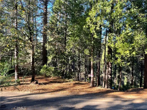 22447 Ponderosa Drive