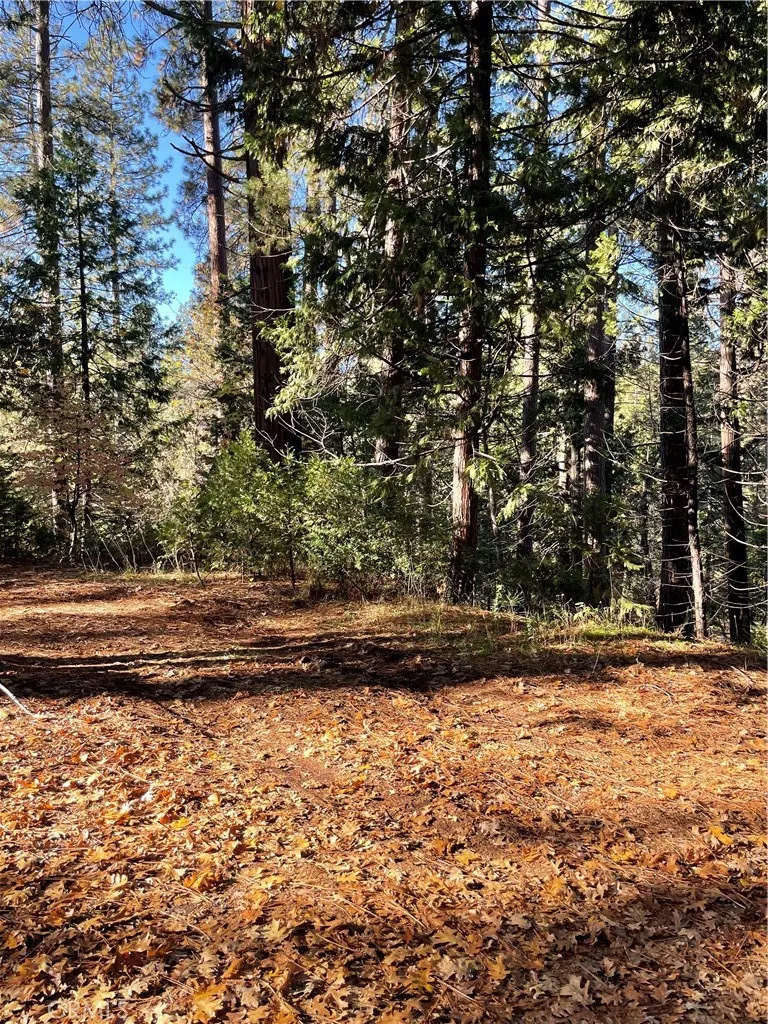 22447 Ponderosa Drive Twain Harte, CA 95383