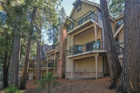 27494 White Fir