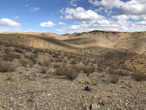Cal Electric Road