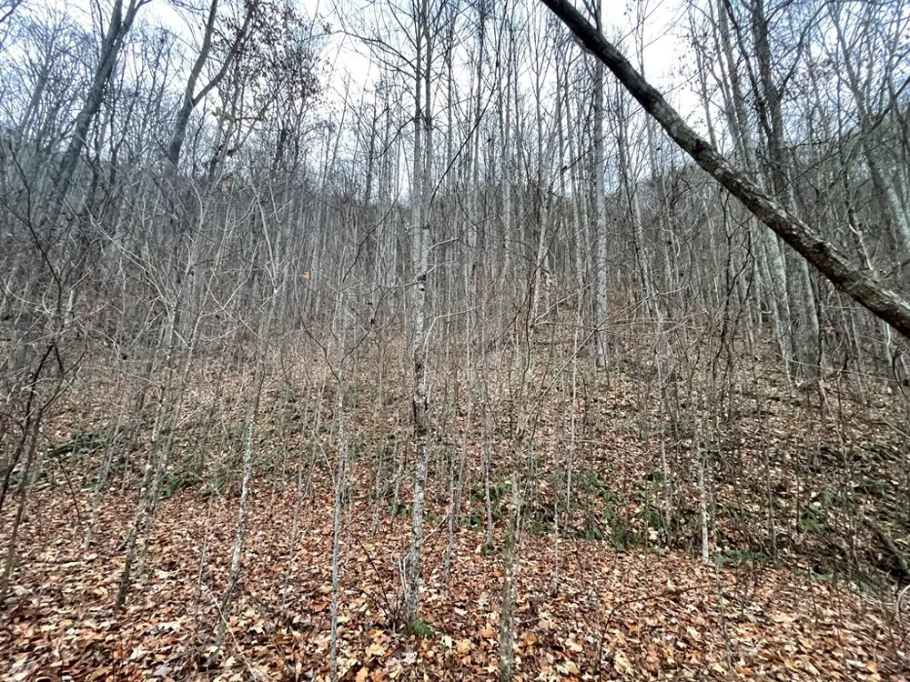Sparkling Falls Whittier, NC 28789