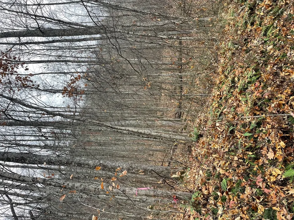Sparkling Falls Whittier, NC 28789