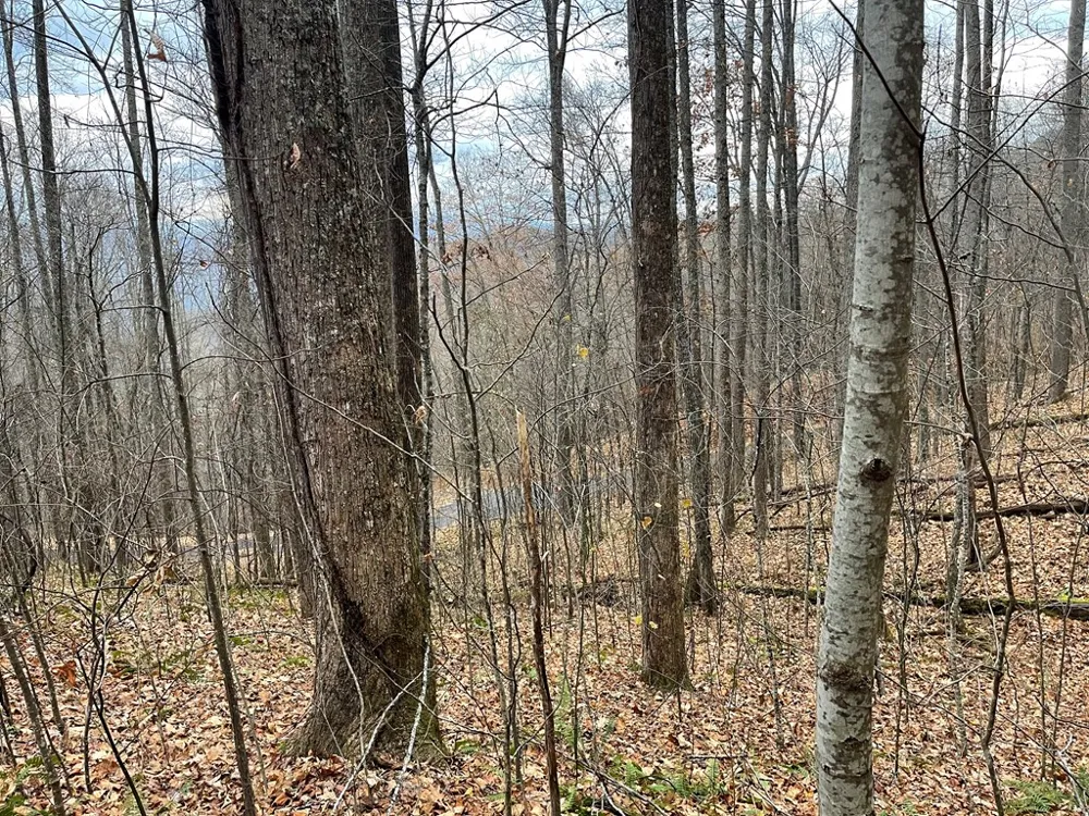 Sparkling Falls Whittier, NC 28789