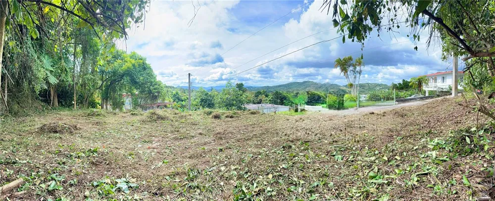 CALLE PINEROS Cayey, PR 00736
