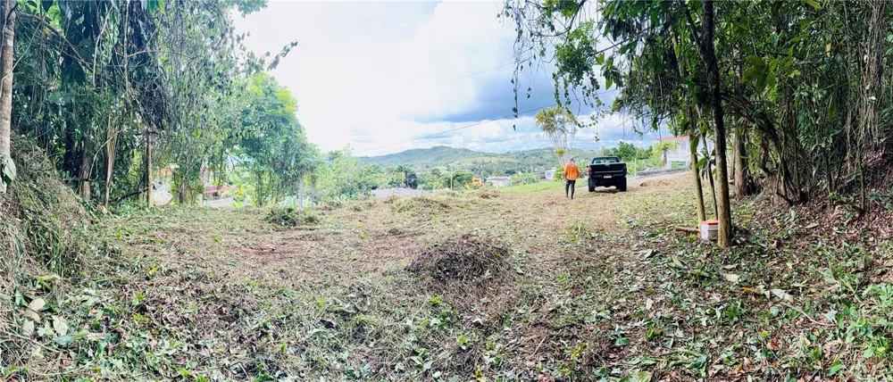 CALLE PINEROS Cayey, PR 00736