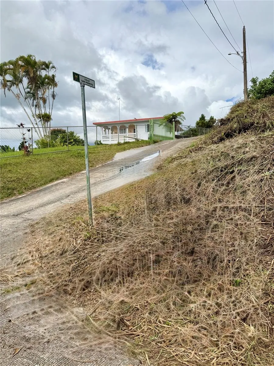 CALLE PINEROS Cayey, PR 00736