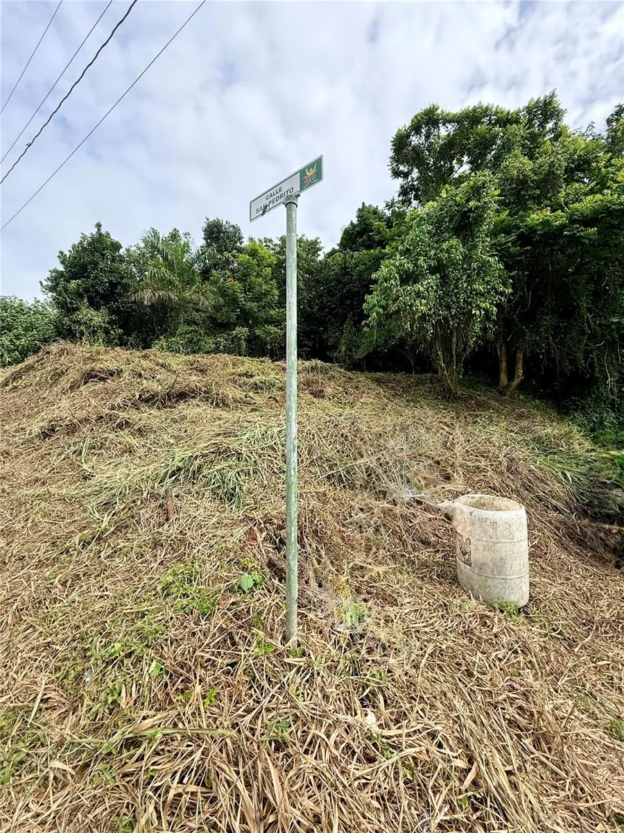 CALLE PINEROS Cayey, PR 00736