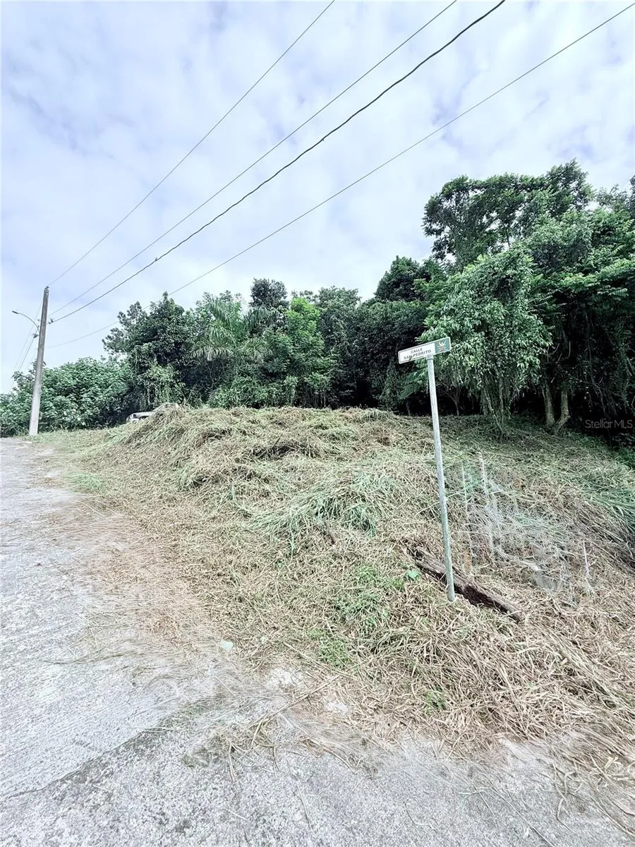 CALLE PINEROS Cayey, PR 00736