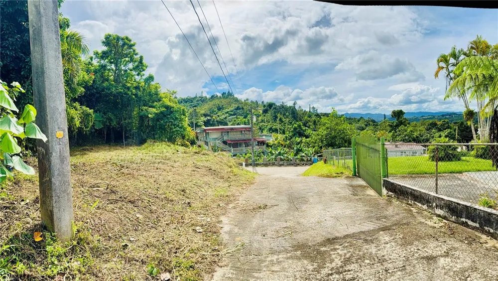 CALLE PINEROS Cayey, PR 00736