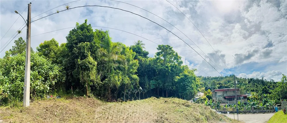 CALLE PINEROS Cayey, PR 00736