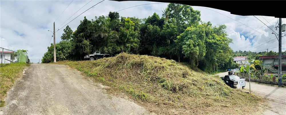CALLE PINEROS Cayey, PR 00736