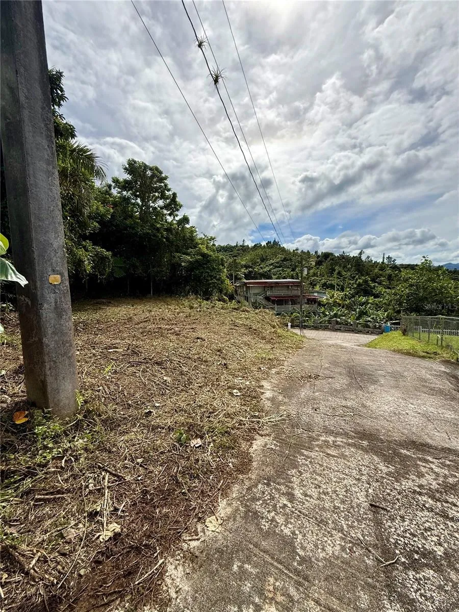 CALLE PINEROS Cayey, PR 00736
