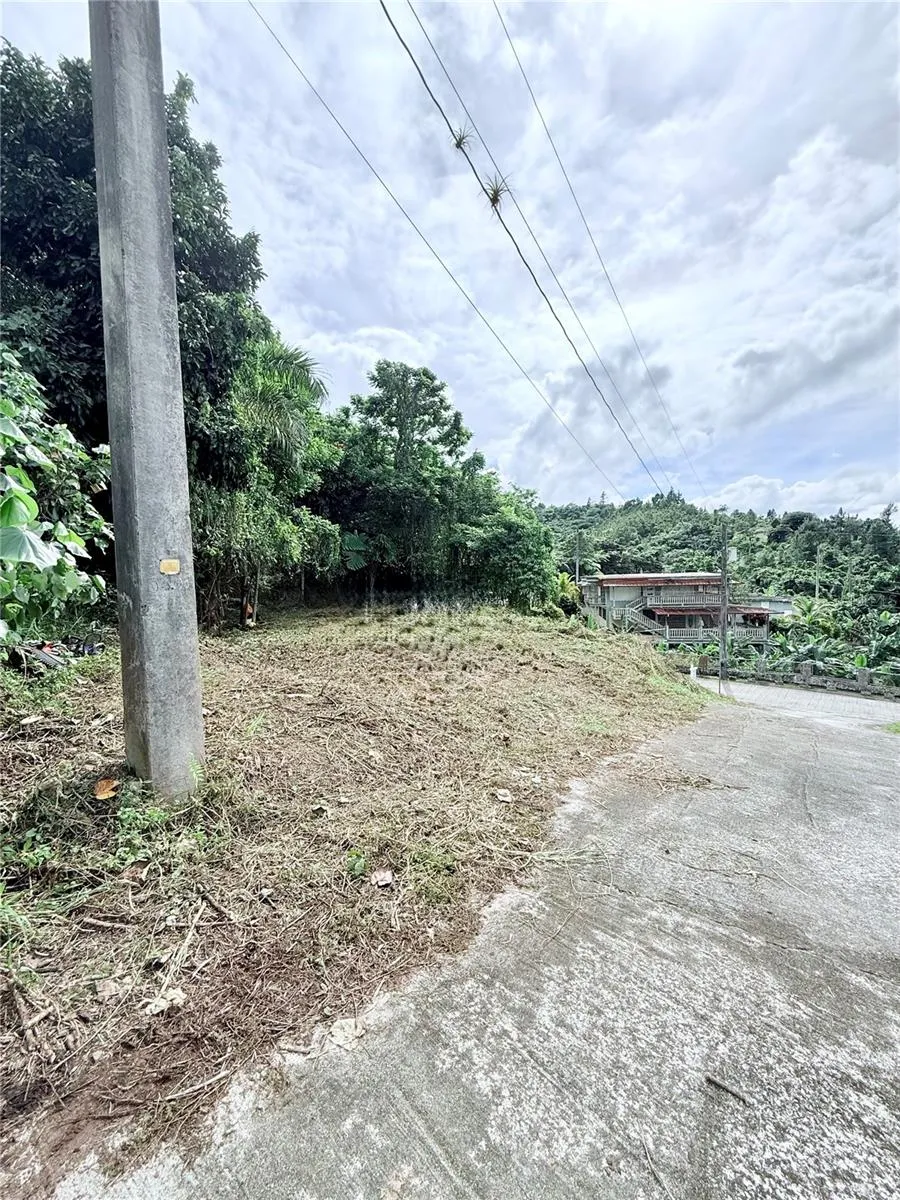 CALLE PINEROS Cayey, PR 00736