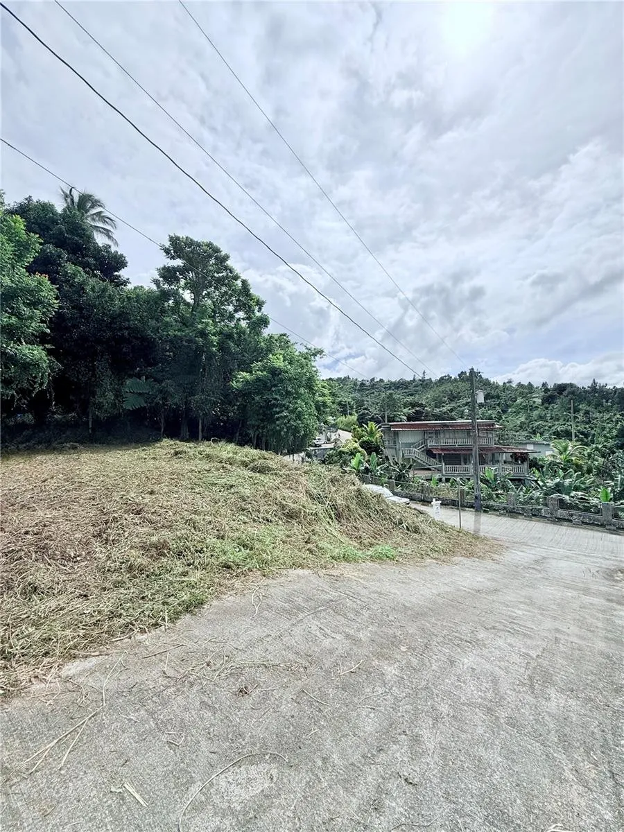 CALLE PINEROS Cayey, PR 00736