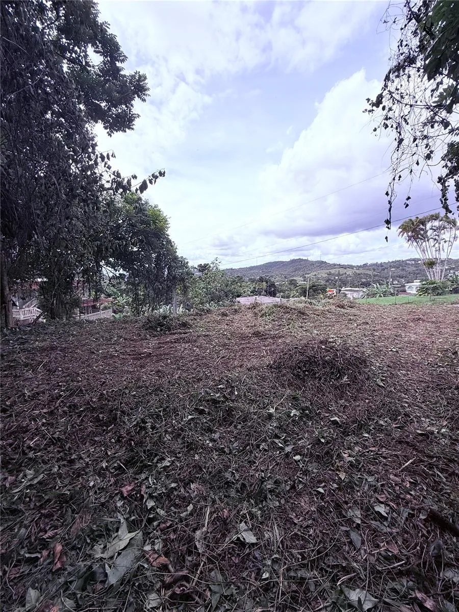 CALLE PINEROS Cayey, PR 00736