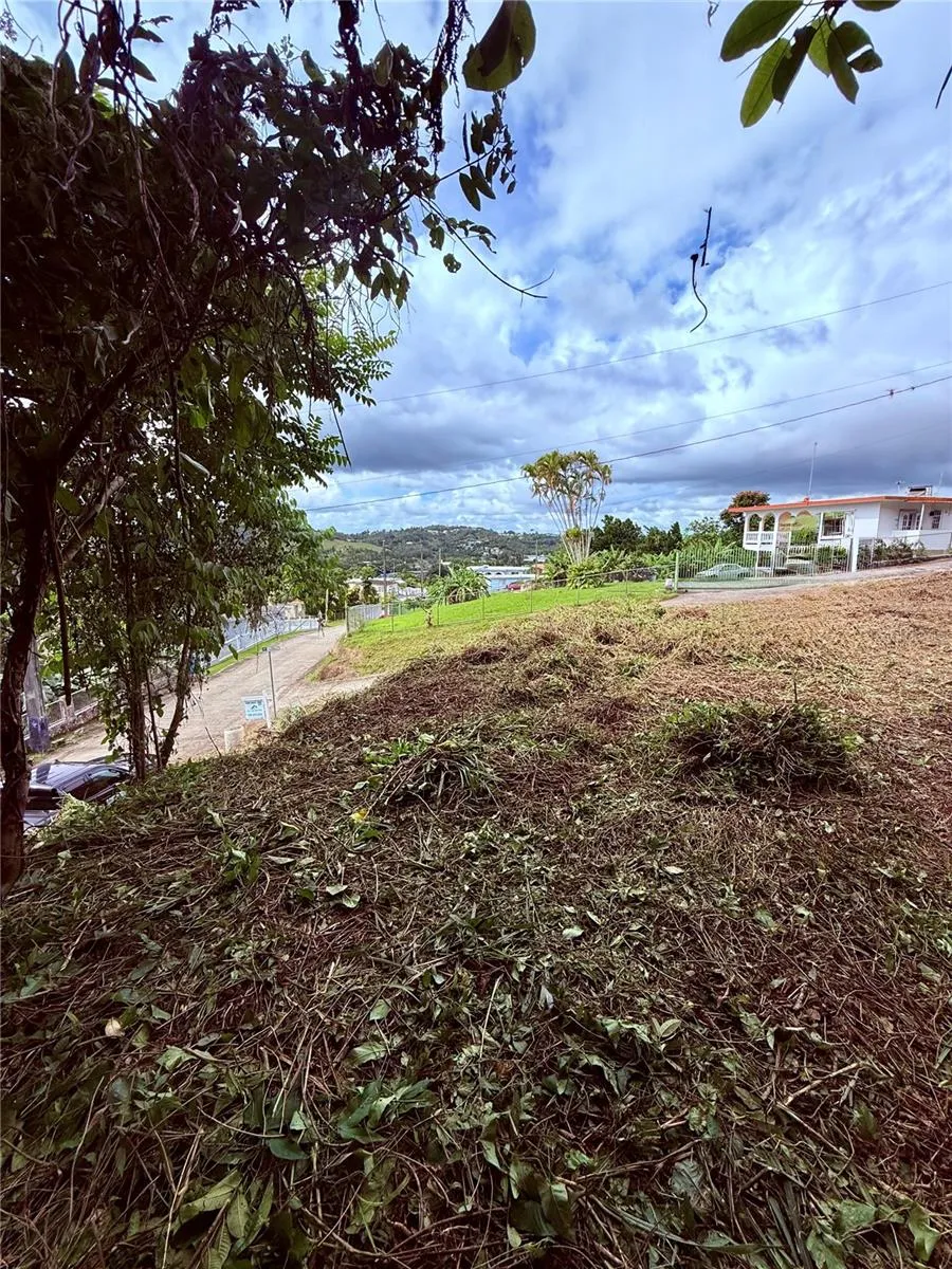CALLE PINEROS Cayey, PR 00736