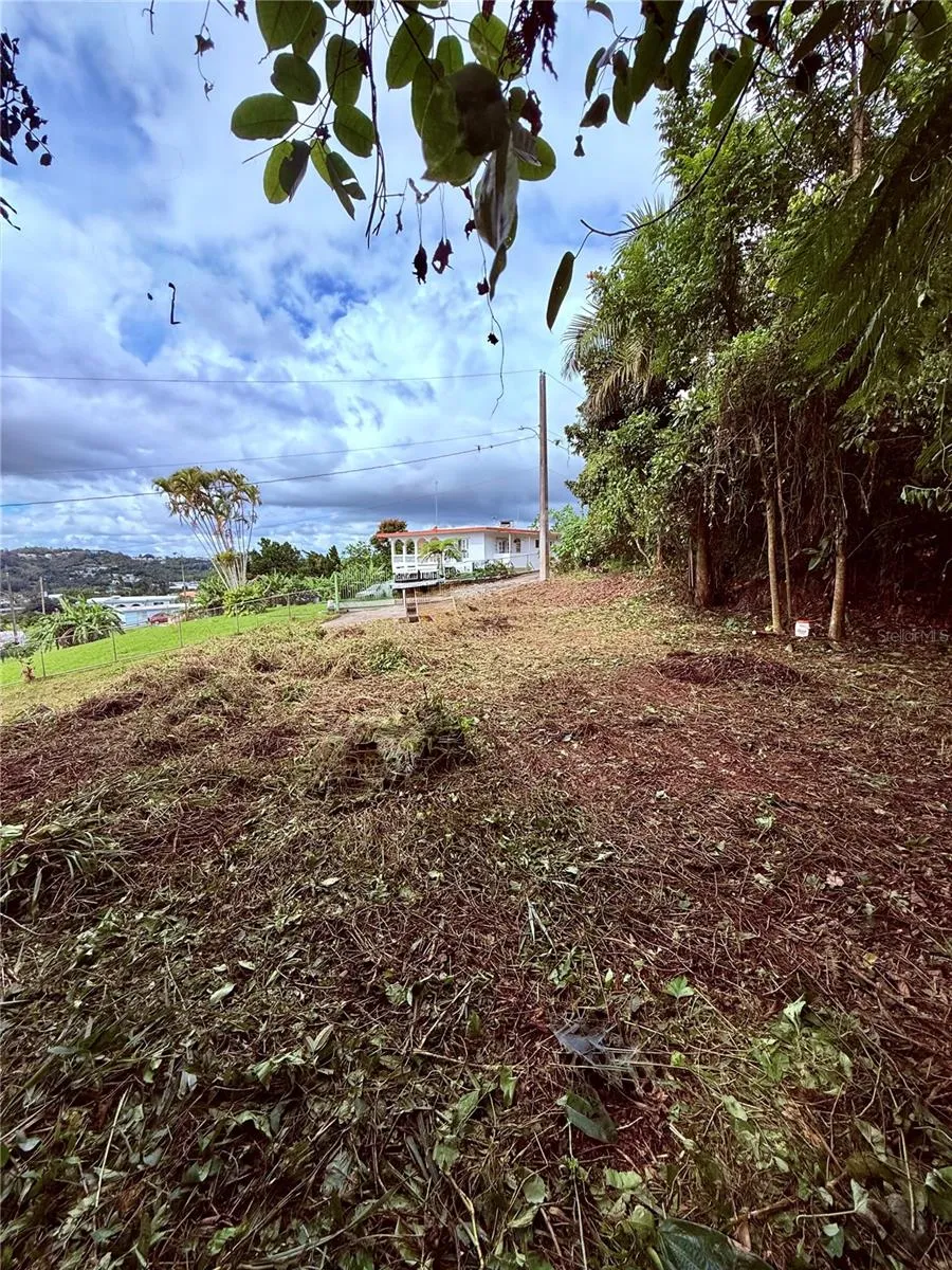 CALLE PINEROS Cayey, PR 00736