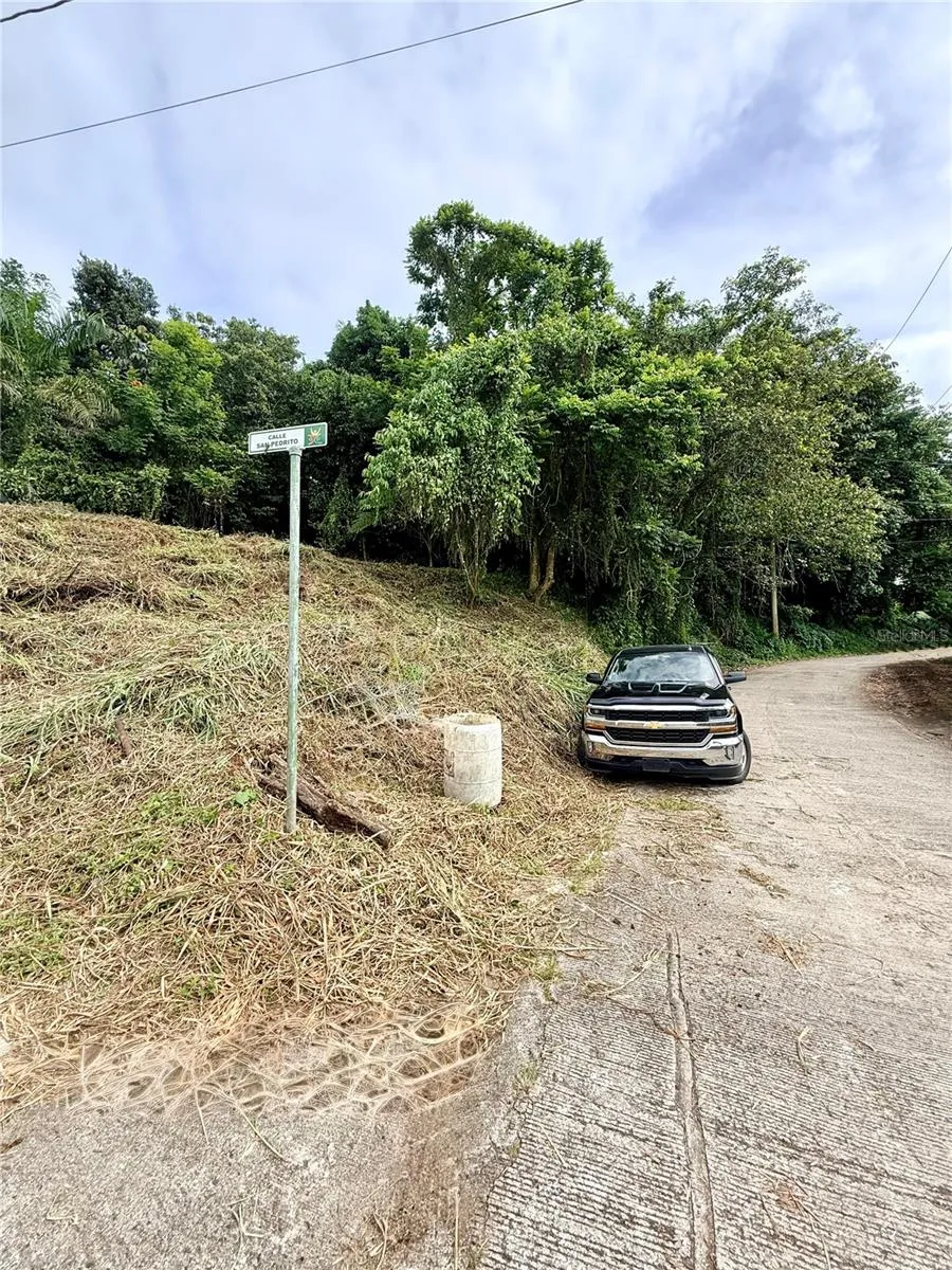 CALLE PINEROS Cayey, PR 00736