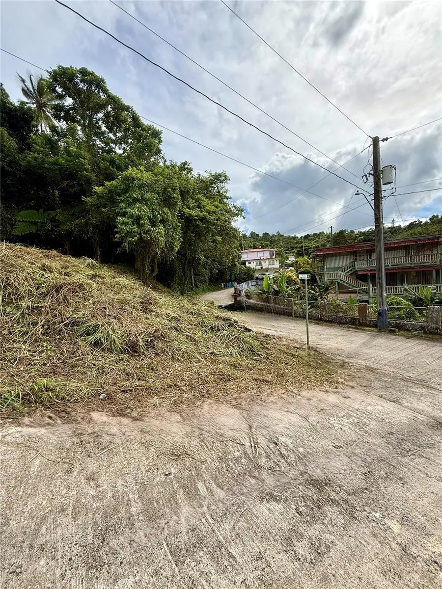 CALLE PINEROS Cayey, PR 00736