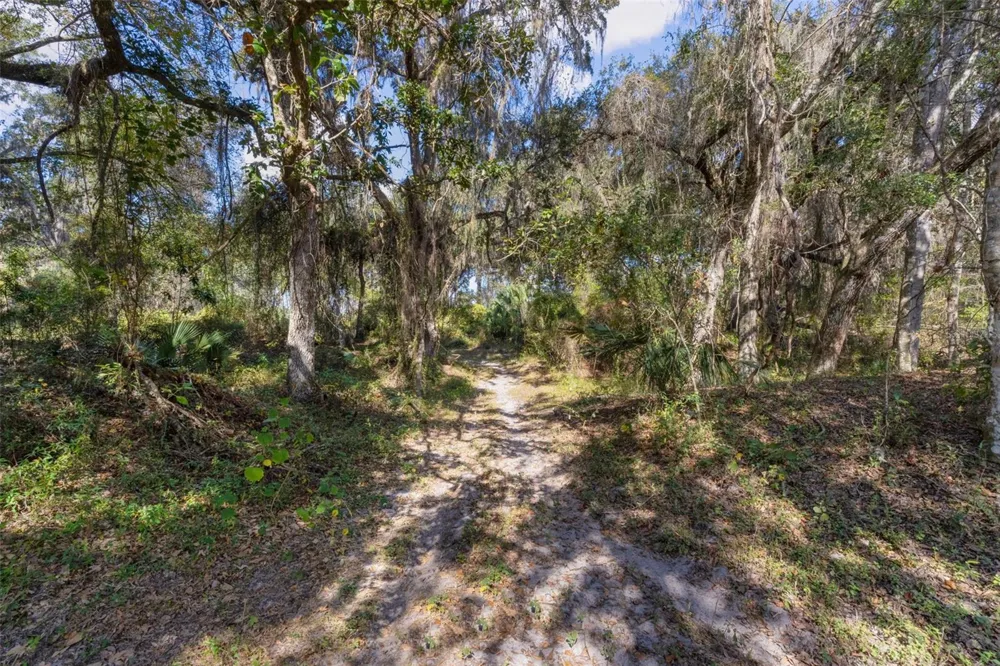 6250 & 5942 E C 478 Center Hill, FL 33514