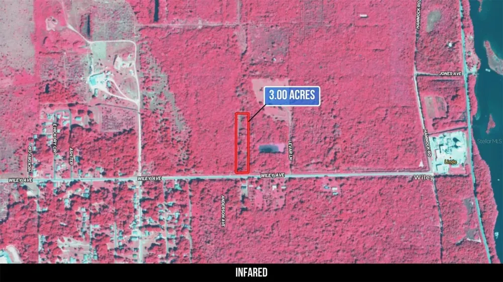 2600 WILEY AVENUE Mims, FL 32754